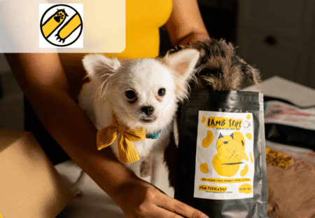 50% off Paw Revolution Fresh Food Starter Pack