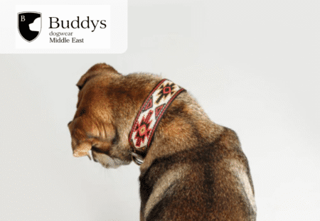 15% off Buddys Dogwear